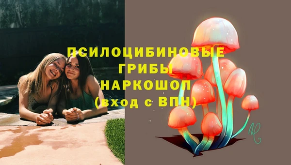 круглые Заводоуковск