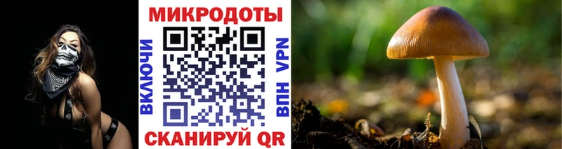 Псилоцибиновые грибы мухоморы  Владимир 
