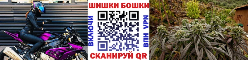 где продают   Владимир  Конопля гибрид 